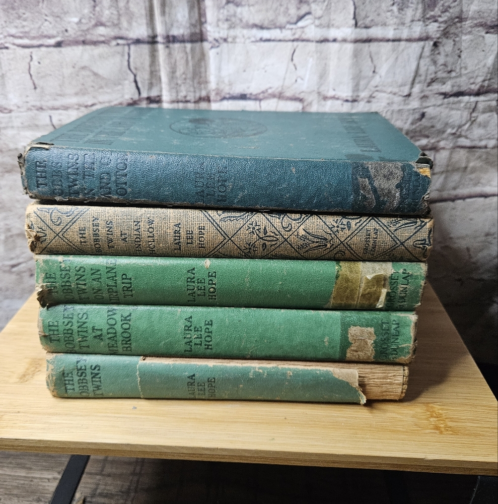 Vintage 1940 Bobbsey Twins Book Lot Of 5‎